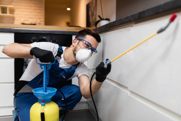 Best Pest Prevention Services  in Lake City, IA