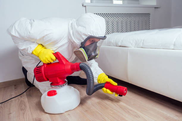 Best Insect Control  in Lake City, IA