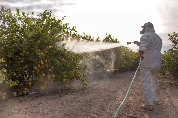 Best Affordable Pest Control Services  in Lake City, IA