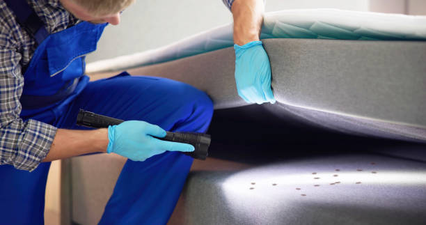 Best Pest Control for Homes  in Lake City, IA
