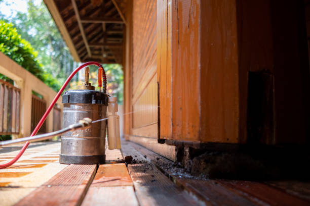 Best Exterminator Services  in Lake City, IA