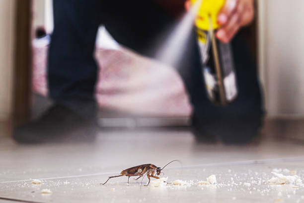 Pest Control Cost in Lake City, IA