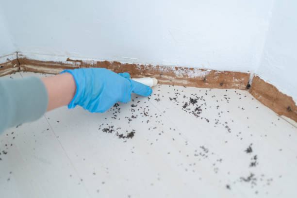 Pest Prevention Services in Lake City, IA