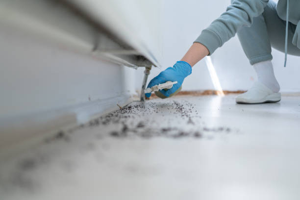 Best Pest Prevention Services  in Lake City, IA